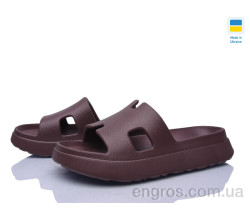 Шлепки Golden Lion